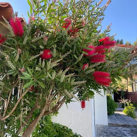 Βίλα Sitio Do Louro Sao Martinho do Porto