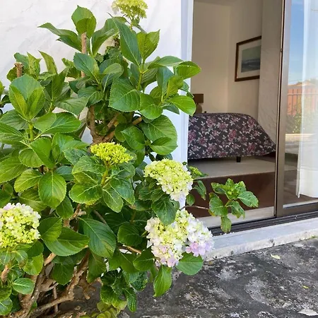 Вилла Sitio Do Louro *