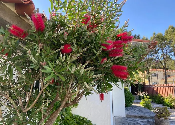 فيلة Sitio Do Louro ساو مارتينهو دو بورتو