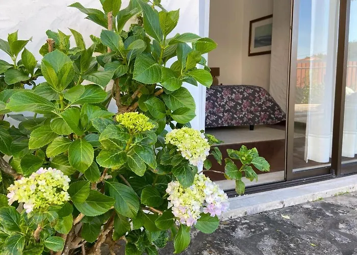 فيلة Sitio Do Louro *