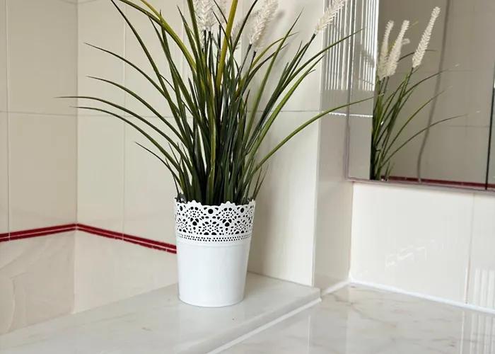 Sitio Do Louro فيلة ساو مارتينهو دو بورتو