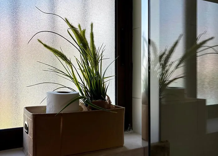 فيلة Sitio Do Louro ساو مارتينهو دو بورتو